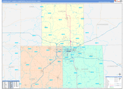 Lansing-East Lansing Metro Area Wall Map Color Cast Style 2024